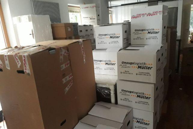 Labor Umzug preise erfahren in Königswalde